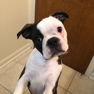 Meet your Posher, Tyanna